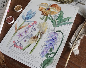 Tamriel Flora - Plants of Skyrim watercolor apothecary art print - Elder Scrolls video game poster, Alchemy herb garden cottagecore wall art