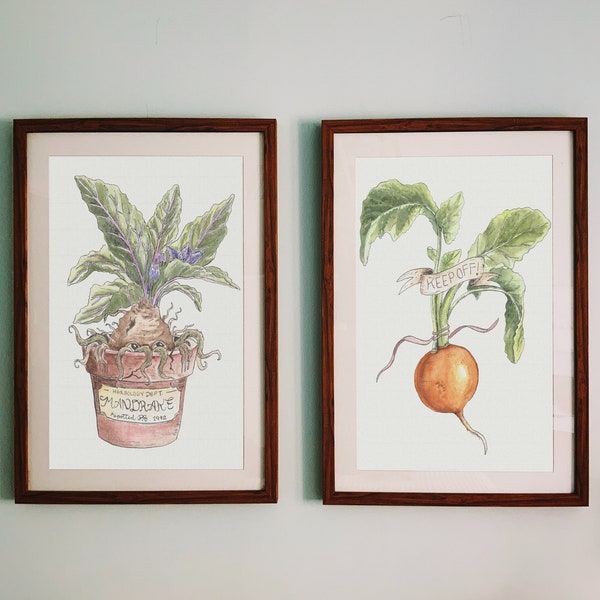 Herbology postcard set - Mandrake, Dirigible plum - watercolor botanical print - Wizard greenhouse plant wall art - green witch spring decor