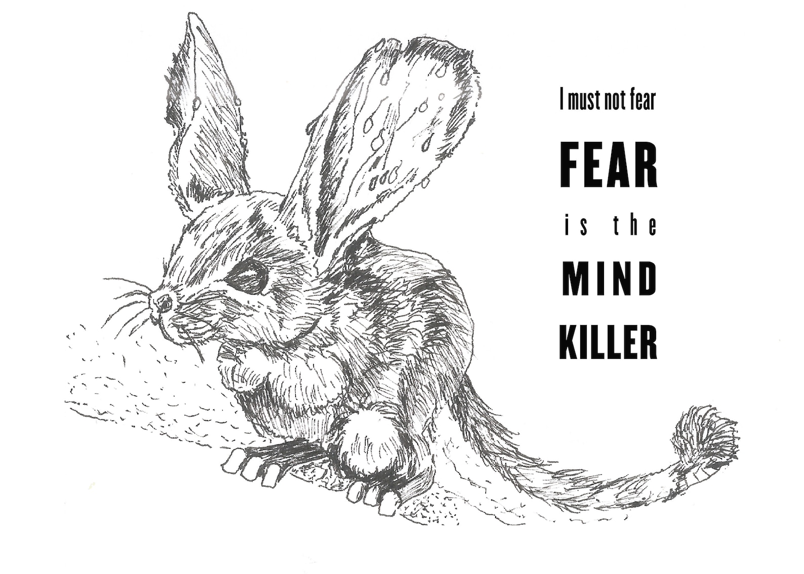Dune Quote Postcard fear is the Mind Killer Frank Herbert Muad'dib