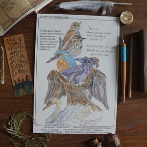 Gollums Vögel von Mittelerde Geschirrtuch, Hobbitcore Naturgeschichte Baumwollköper Küchentuch, Frühlingswaldland Herr der Ringe Wandteppich