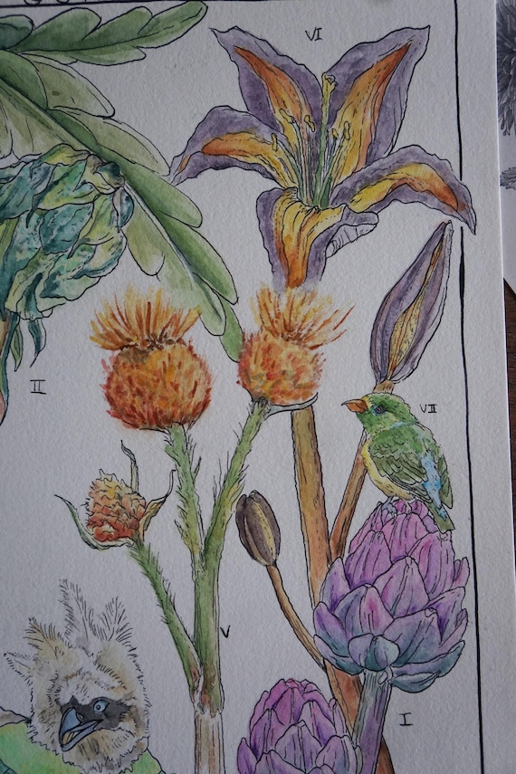 Hyrule Compendium - Breath of the Wild Fine Art Print, TOTK