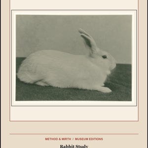 以下が含まれることがあります： Rabbit Studyと題された白黒の写真プリントで、横向きのウサギが写っています。テキストには、METHOD & MIRTH / MUSEUM EDITIONS, Rabbit Study, Dierstudie van een konijn, attributed to Richard Tepe, c. 1900-30, Public-domain artwork, original gallery layoutと記載されています。
