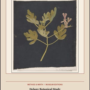 以下が含まれることがあります： ダークグレーの背景に植物のイラストが中央に描かれた植物学の研究プリント。植物には、オリーブグリーンの裂片状の葉と、小さな淡いピンクの花がついています。下部のテキストには「METHOD & MIRTH / MUSEUM EDITIONS Delany Botanical Study」と記されています。