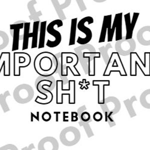 Questo è il mio importante notebook Sh * t