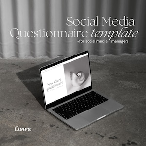 Aesthetic Questionnaire Template for Social Media Managers, New Client Questionnaire, Social Media Management Onboarding Process