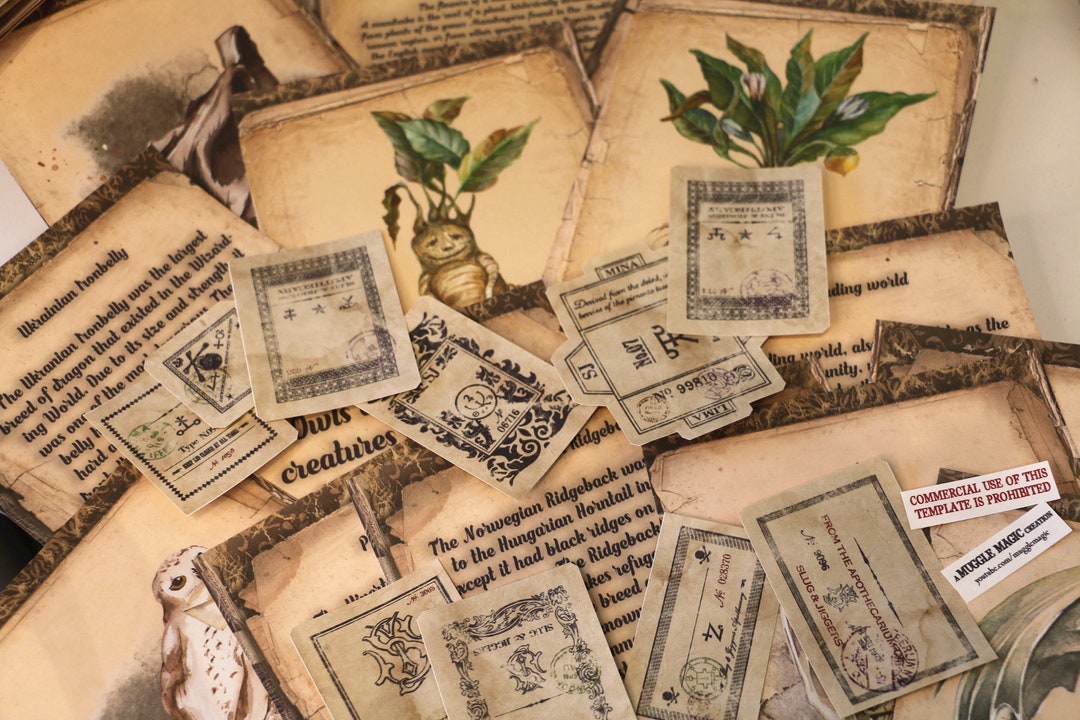 Wizard School Junk Journal Scrapbook Paper for DIY Crafts, Retro Junk ...