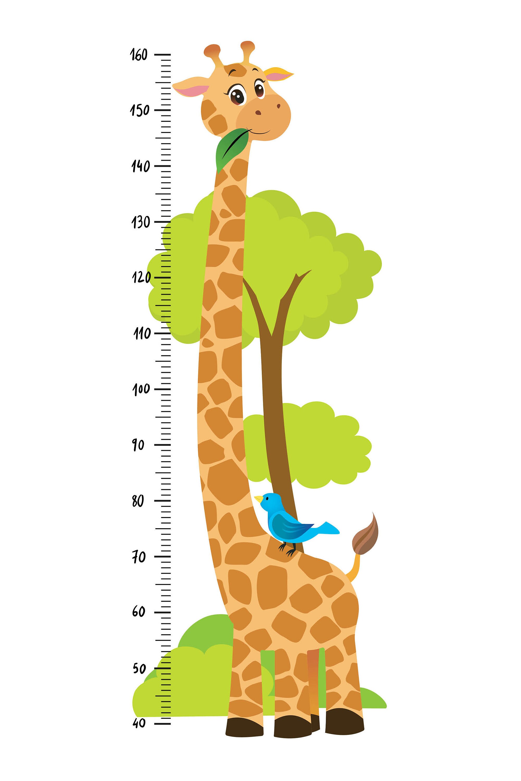 Giraffe With Blue Bird Height Chart Height Chart Sticker Etsy Australia