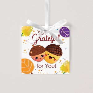 Etiquetas de regalo de Acción de Gracias para canastas de regalo de otoño, etiqueta de Acción de Gracias para obsequios de fiesta, canasta de regalo de otoño, idea de regalo de otoño, regalo de agradecimiento