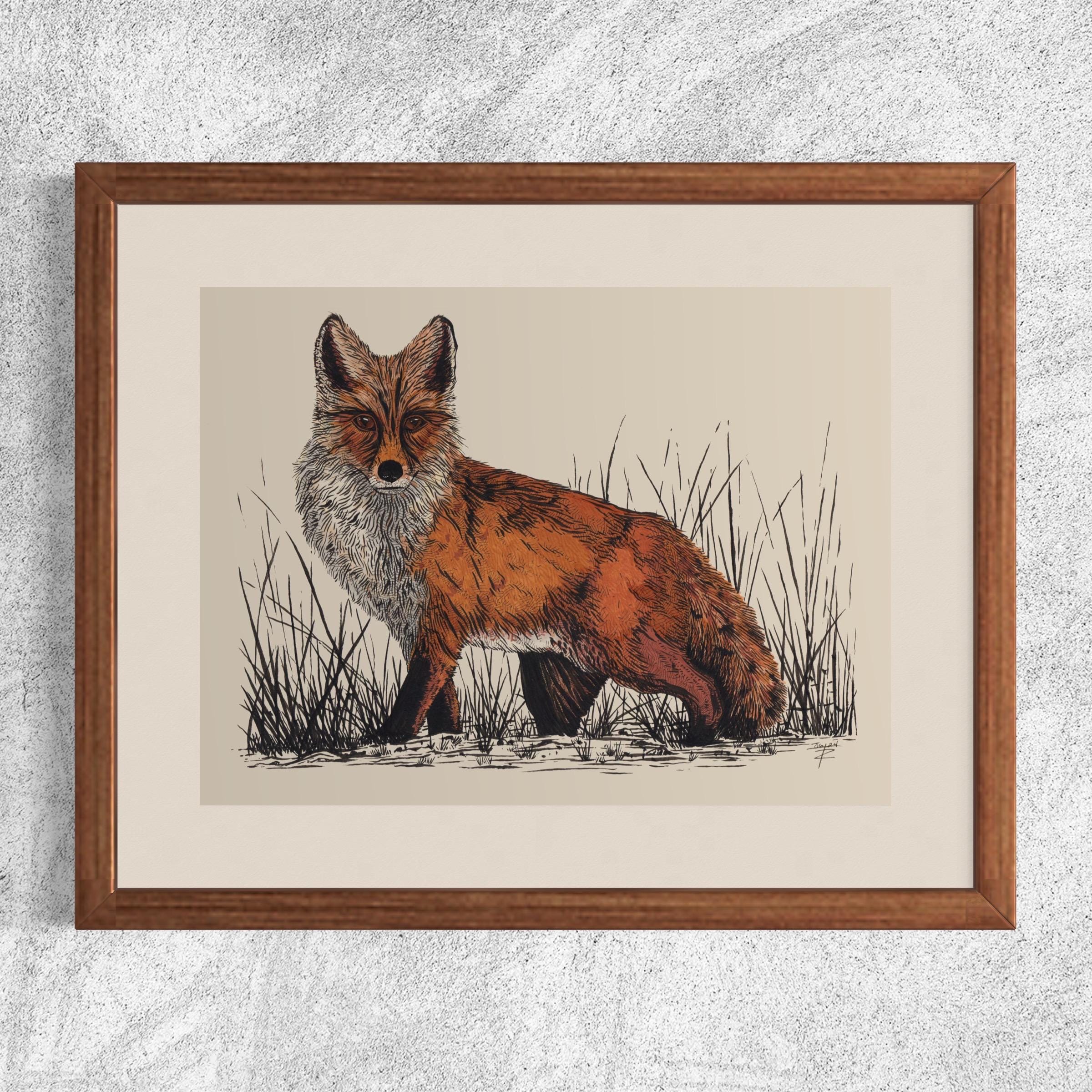 Red Fox. Hand Drawn Pen and Ink Giclee Art Print. - Etsy