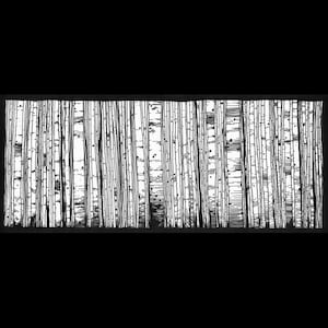 Abedul infinito. Ilustración en tinta y pluma en blanco y negro dibujada a mano.