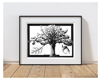 May include: A black and white illustration of an oak tree with a single leaf and acorn. The tree is drawn in detail, with its branches and leaves.