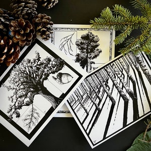 Selecione quaisquer três cartões de felicitações desenhados à mão no meu site. Ilustrações da natureza em caneta e tinta. Cartões de felicitações em branco.