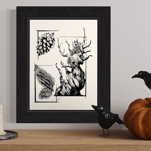Bristlecone Pine. Hand Drawn Pen and Ink Botanical Illustration.