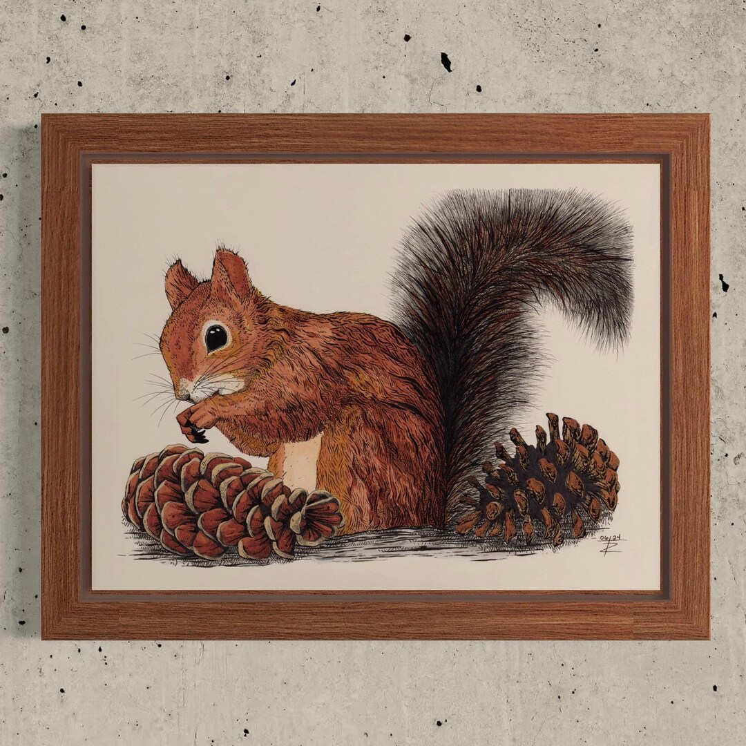 A Red Squirrel’s Treasure. Hand Drawn Pen and Ink Giclee Art Print. - Etsy