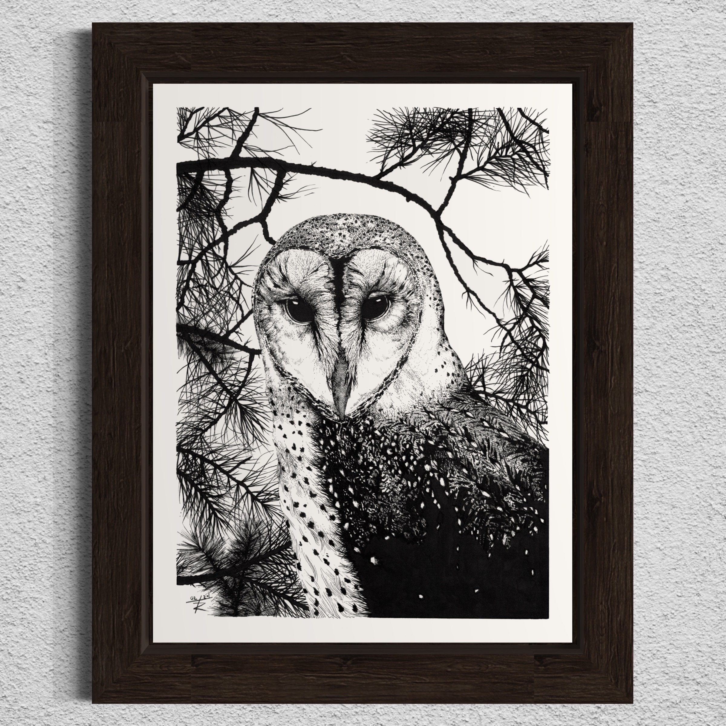 Barn Owl. Hand Drawn Pen and Ink Illustration.