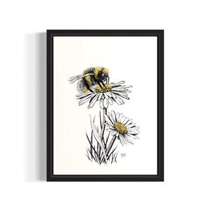 Bumblebee on a Daisy. Hand Drawn Pen and Ink Limited Edition (100) Signed and Numbered Fine Art Print.