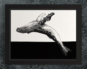 Breach. Humpback whale drawing.  Hand Drawn Pen and Ink Illustration.