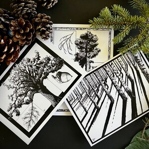 Handgetekende boomwenskaarten (3-pack bevat de White Oak, Winter Birch en Giant Sequoia). Kaarten kunnen op mijn site met anderen worden geruild.