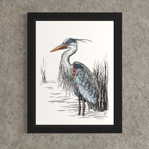 Great Blue Heron. Hand Drawn Pen and Ink Illustration.