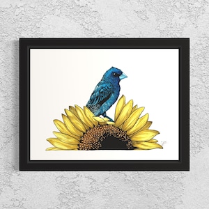 Indigo Bunting on a Sunflower. Hand Drawn Pen and Ink Illustration.