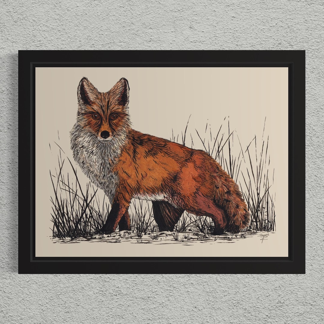 Red Fox. Hand Drawn Pen and Ink Giclee Art Print. - Etsy