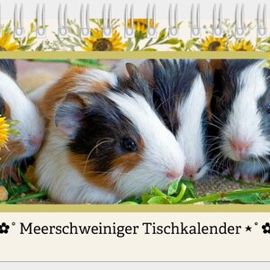 2026 desk calendar with guinea pigs, rectangular. Perfect gift for Christmas. Animal lovers. Support for animal welfare. Donation.