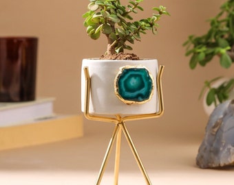 Agate planter, unique planter, ceramic planter, indoor planter, gemstone planter, desk planter, green planter