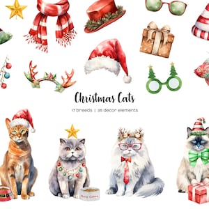 Clipart chat de Noël aquarelle. Image clipart chats de Noël. Le chat se reproduit avec un bonnet de Noel. Chat aquarelle races clipart. 17 types de chats et décoration de Noël