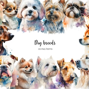 Aquarell Hunderassen Clipart. Hunde ClipArt. Hundetypen 35 PNG. Hund Wandkunst. Hundeliebhaber Geschenk. Kleine mittelgroße Rassen. Labrador, Terrier