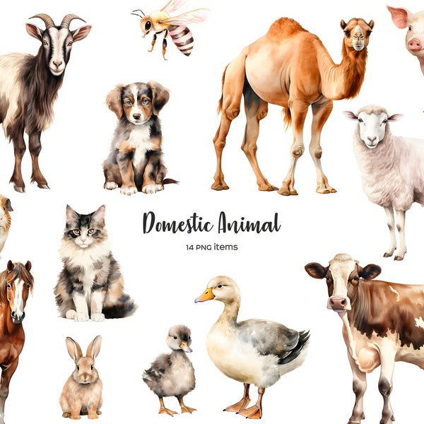 Watercolor domestic animal clipart. Livestock clipart. Watercolor domestic livestock clip art. Domestic cattle 14 PNG set. Cat, dog, cow PNG