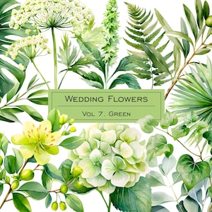 May include: Watercolour illustration of green wedding flowers, including hydrangeas, ferns, and monstera leaves. The text "Wedding Flowers Vol. 7. Green" is displayed on a white rectangle.