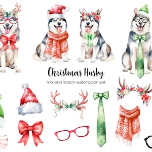 Clipart husky de Noël aquarelle. Image clipart chiens de Noël. Husky en bonnet de Noel PNG. Clipart Noël chiot chien. Husky au chapeau de Noël.