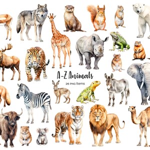 Watercolor ABC animals. Alphabet animals clipart. Watercolor A-Z animals clip art. Alphabet zoo animals. Safari animals clipart. A to Z PNG