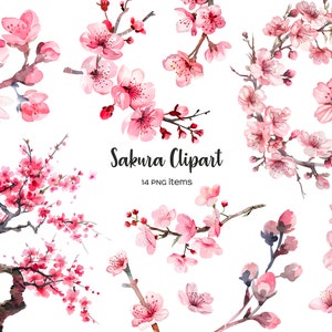 Watercolor sakura clipart. Japanese cherry clip art. Japanese cherry blossom 14 PNG. Flowering cherry tree. Sakura branches, trees, blossom