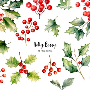 Watercolor holly berry clipart. Holly berries plant PNG. Christmas holly berry clip art. Holly berries leaves, fruits and branches 15 PNG