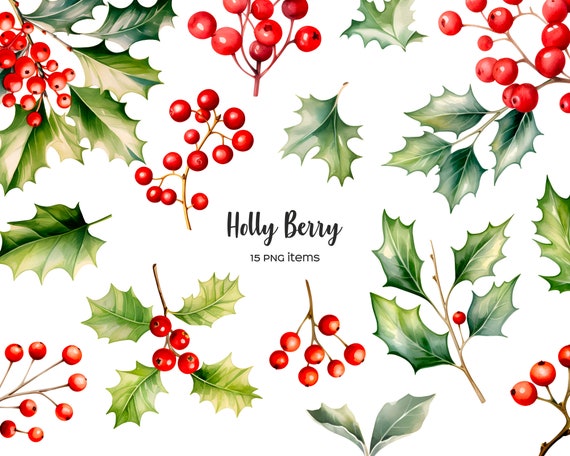 Christmas Holly Berry Clipart Vector, Christmas Holly Berry Leaves