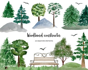 Clipart forêt aquarelle : ensemble de paysages forestiers (PNG)