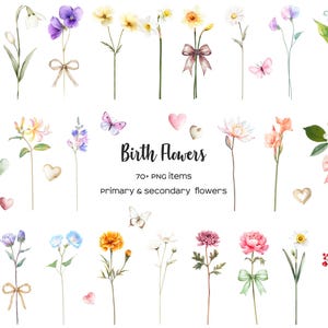 Clipart de flores del mes de nacimiento en acuarela Flor de nacimiento primaria y secundaria Póster de flores de nacimiento familiar DIY Flor de nacimiento del jardín de la abuela