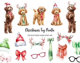 Watercolor Christmas toy poodle clipart. Xmas dogs clip art. Dog with Santa hat PNG. Christmas puppy dog clipart. Poodle in Christmas hat