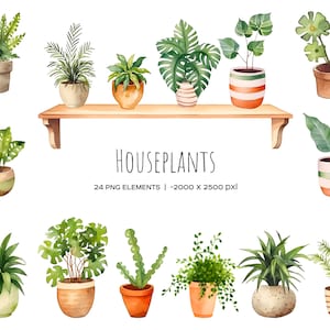 Könnte beinhalten: Eine Sammlung von 24 Aquarell-Illustrationen von Zimmerpflanzen in Töpfen. Die Pflanzen sind auf einem Holzregal angeordnet, unter dem das Wort "HOUSEPLANTS" und der Text "24 PNG ELEMENTS | -2000 x 2500 px" stehen. Zu den Pflanzen gehören Farne, Palmen, Sukkulenten und andere Blattpflanzen.