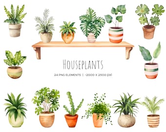 Clipart de plantas de interior en acuarela: Plantas en maceta PNG (Descarga digital)