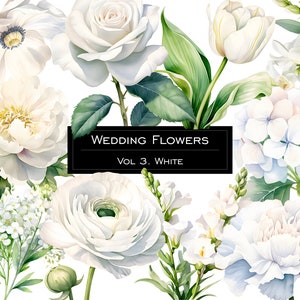 Aquarell weiße Hochzeit Blumen Clipart. Pastell weiße Blume ClipArt. Weiße Pflanzenkollektion. Weißes Blumenhochzeits-Aquarell-Set.