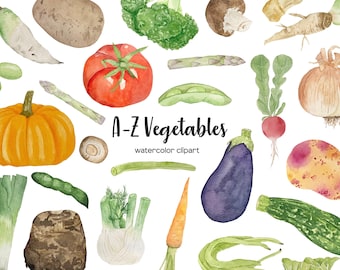 May include: Watercolor illustrations of various vegetables, including a pumpkin, tomato, eggplant, potato, carrot, onion, and more. The text "A-Z Vegetables watercolor clipart" is written in the center of the image.