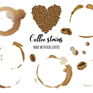Coffee stain clipart, Real coffee rings and beans. Watercolor coffee beans clipart. 11 PNG coffee cup ring. Brown espresso splash and ring