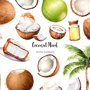 Clipart de coco acuarela. Imágenes prediseñadas de coco. Fruta tropical acuarela PNG. Imágenes prediseñadas de leche de coco. Imágenes prediseñadas de aceite de coco. Postres de coco PNG