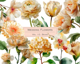 Watercolor beige wedding flowers clipart. Pastel peach flower clip art. Creamy color plants collection.