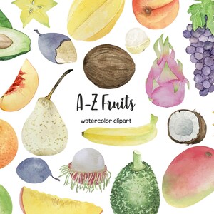 Clipart de fruits aquarelle A-Z. Aquarelle de légumes. Clipart de fruits de l'alphabet complet. Clipart végétalien et végétarien à l'aquarelle. Aliments biologiques PNG