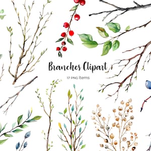 Clipart di rami dell'acquerello. Ramoscelli secchi e freschi. ClipArt del ramo di un albero. Rami di alberi con foglie e bacche PNG. Rami secchi 17 PNG