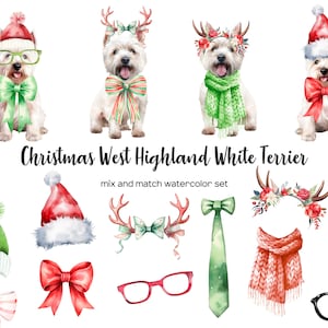 Aquarel kerst west highland white terrier clipart. Kerst west hoogland. Hond in kerstmuts PNG. Kleine hond terriër in kerstmuts