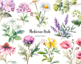 Watercolor Herb Clipart: Medicinal Plant PNG Collection (29 items)